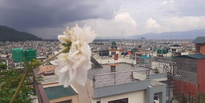 Greenery homestay