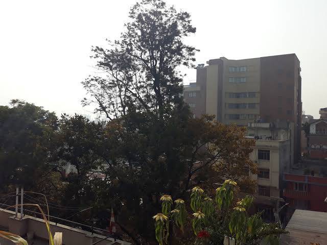 M Hotel Thamel Kathmandu Image