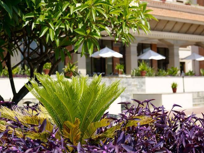 The terrace