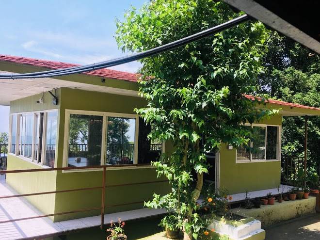 Treez resort