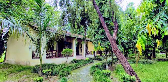 Rhino lodge bardia