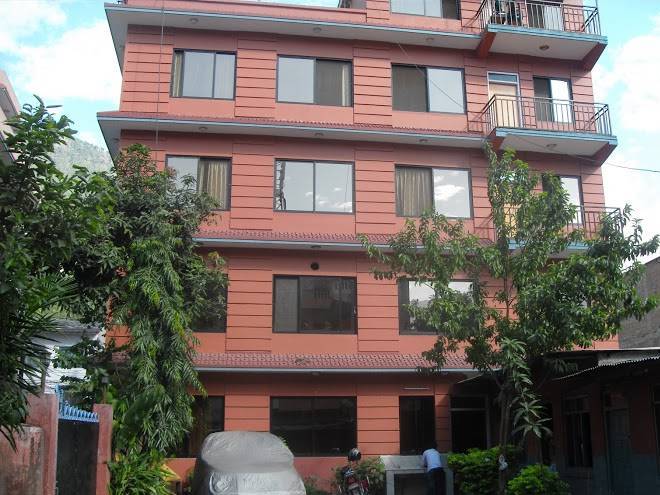Hotel dolphin