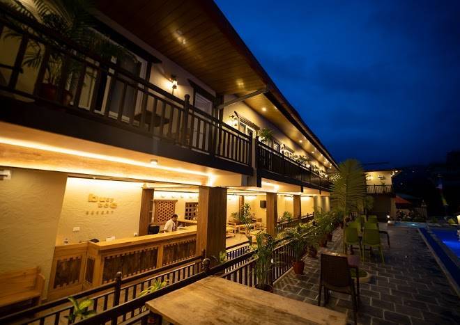 Busy bee resort