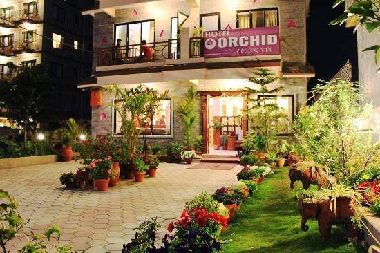 Hotel orchid