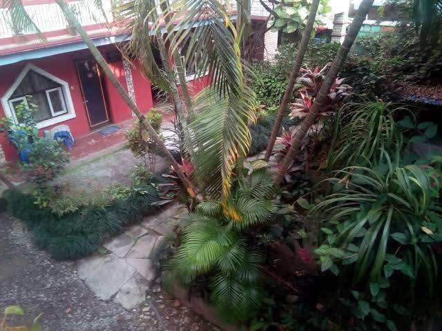 Hotel shiva garden pokhara