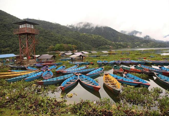 Hotel snow leopard pokhara