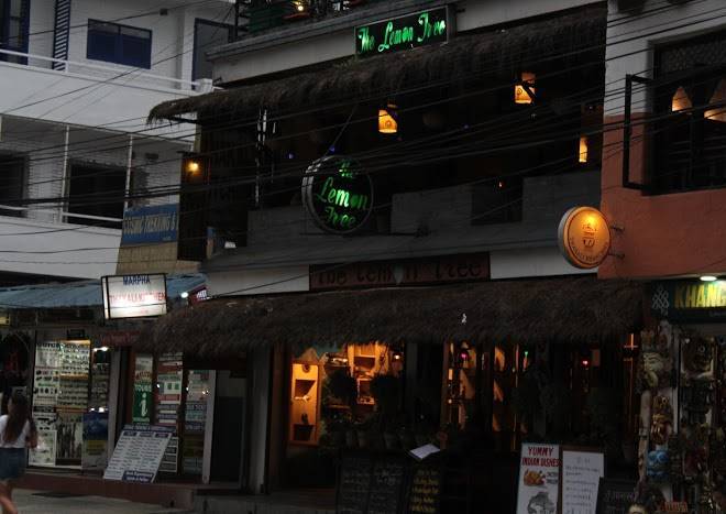 The lemon tree