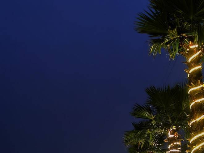 Lumbini palace resort pvt ltd