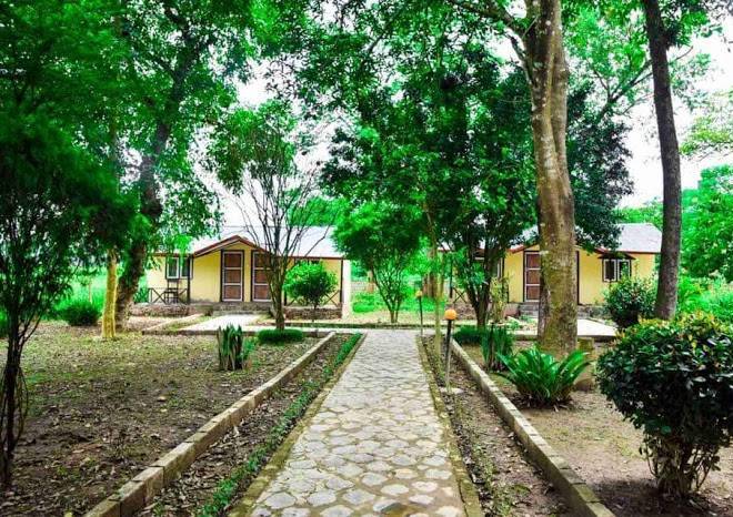 Green Lush Jungle Resort Image