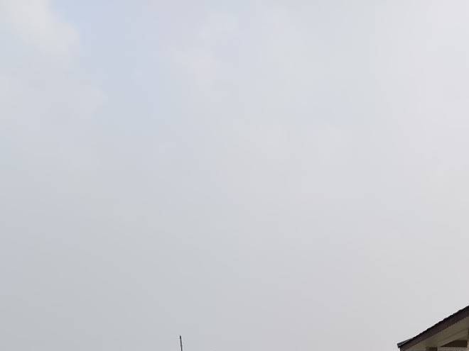 Hotel hornbill