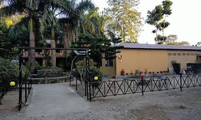 Hotel jungle view