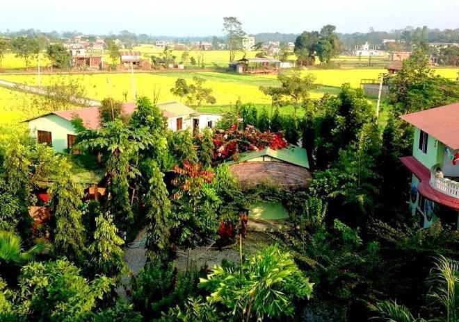 Hotel rhino land