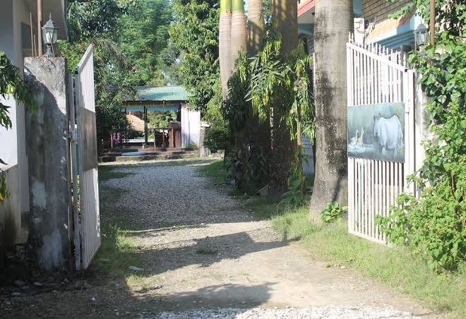 Hotel The Canopy Image