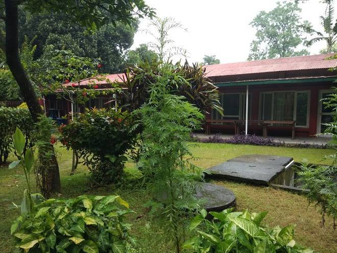 Island jungle resort