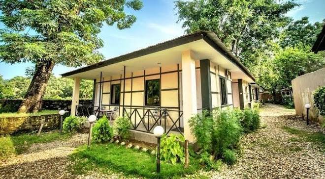 Jungle adventure world hotel chitwan