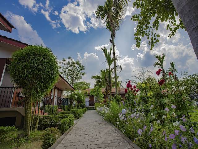 Jungle nepal resort