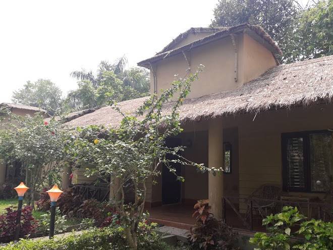 Jungle resort