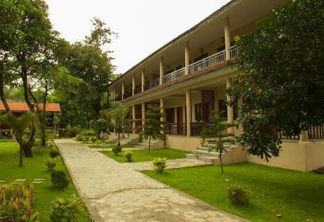 Jungle world resort