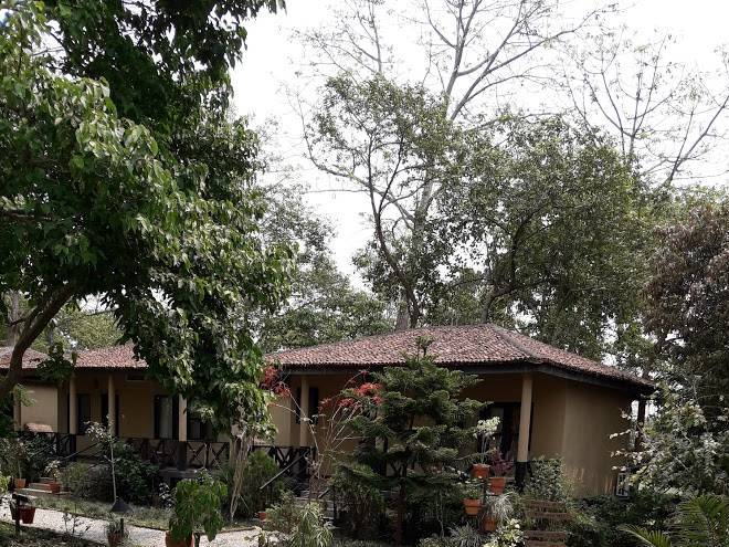 Machan wildlife resort