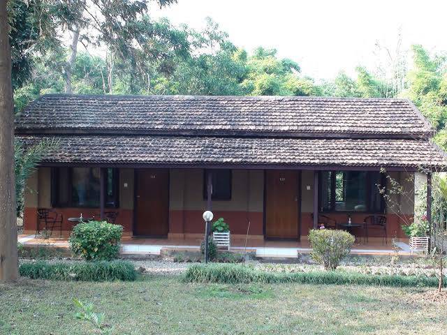 Safari Narayani Hotel Image