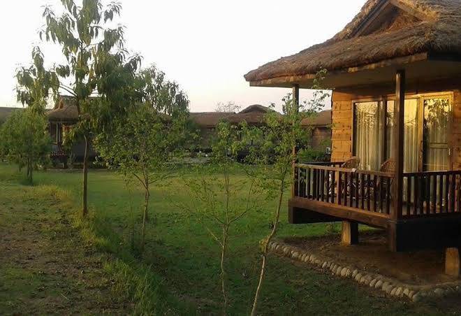 Tigerland safari resort