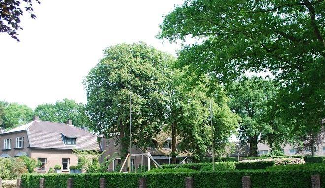 Lubbelinkhof