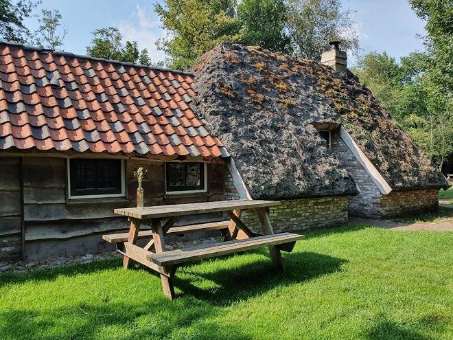 Dolde kamp