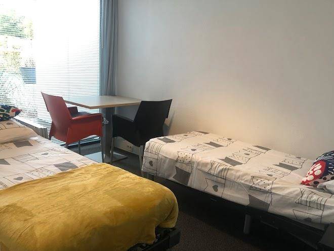 B&b bed bij pet