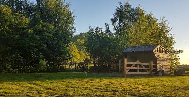Bed and breakfast bij saar