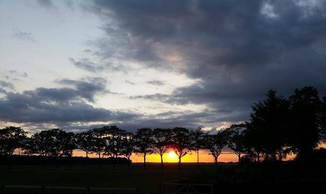 De Kibbelhoeve Image