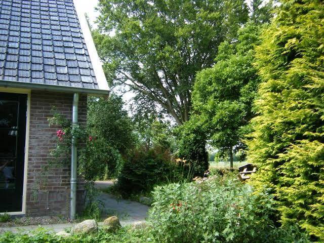 Molenvoort