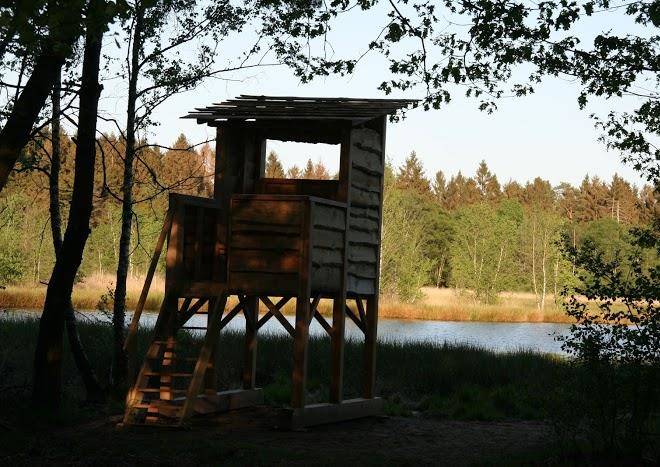 B&b int groen