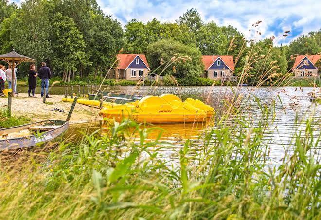 Vakantiepark het timmerholt
