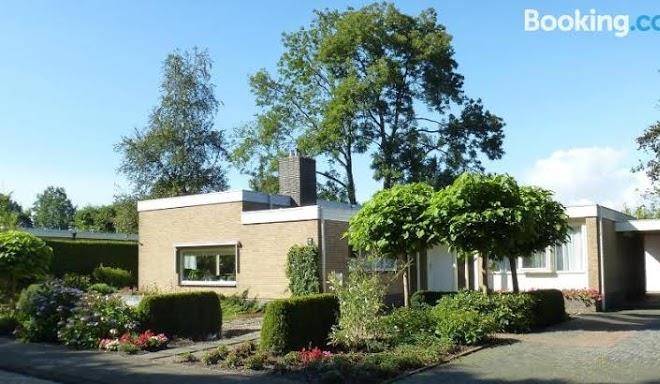 Achter de beukenboom