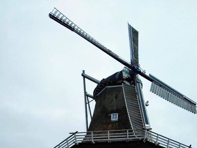 Bij boon