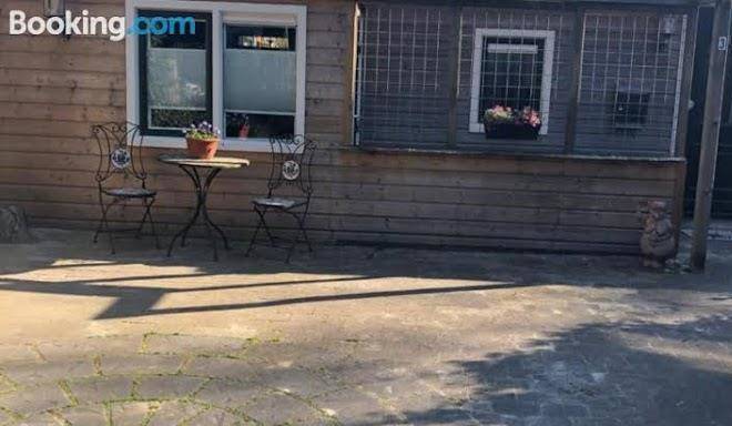 Bos en duin
