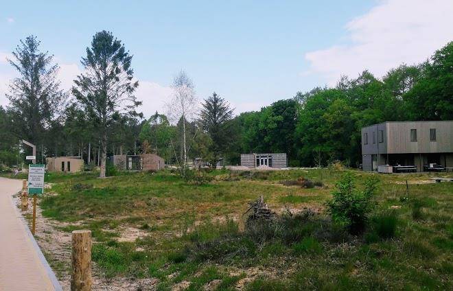 Park De Zeegser Duinen Image