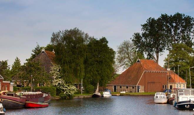 Feather down hoeve meskenwier