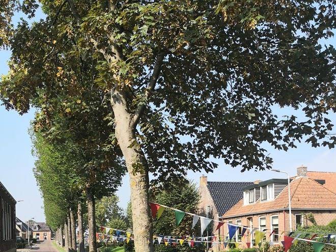 Logement alde leie oude leije