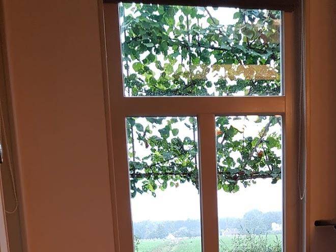 B&b singelstate