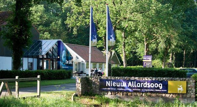 Nieuw allardsoog