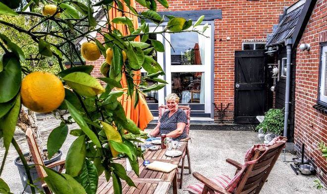 The black horse b&b & more