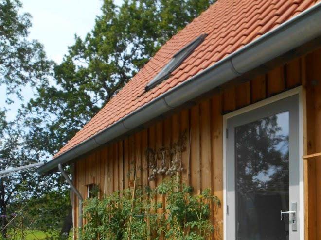 Bij en boom