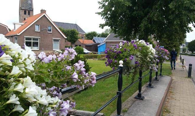 De goudsbloem 1876