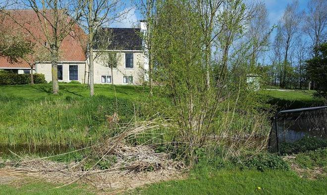 Groot amswert