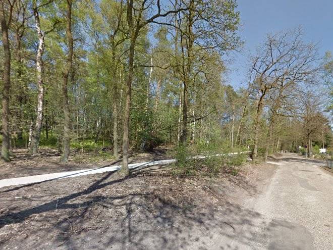 De rimboe woeste hoogte hoenderloo