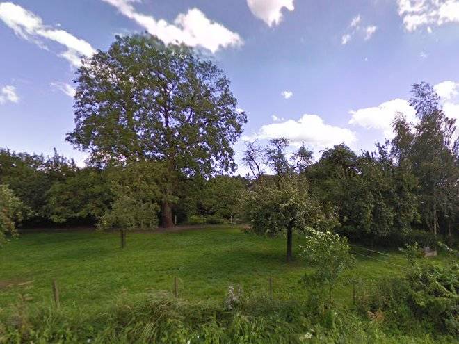 Boerenbed het boshuis