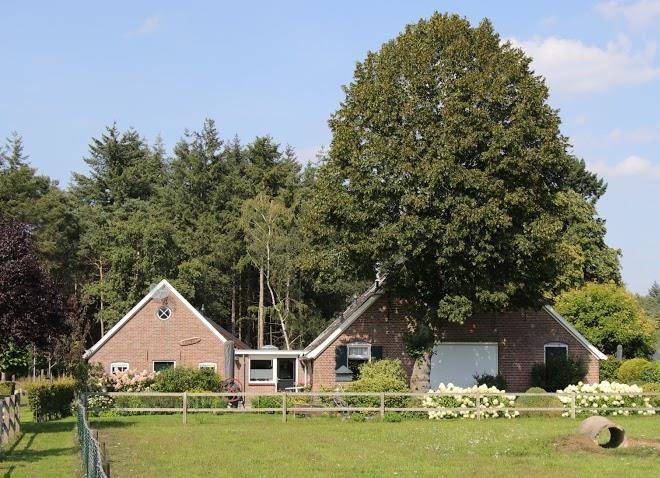 Veul oe thuus