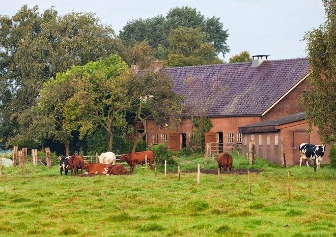 Boerenbed hoeve meijer