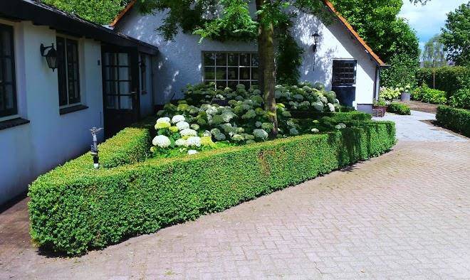 B&b de bataaf